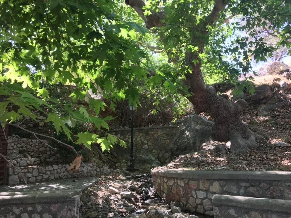 度假居 Ioli's Archángelos