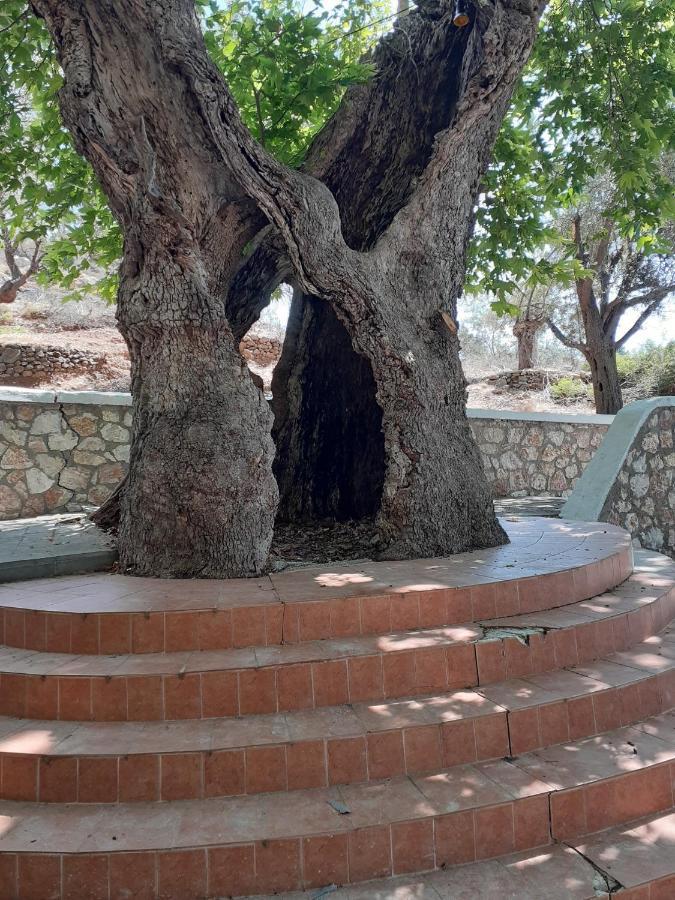 Ioli's * Archangelos (Rhodes)