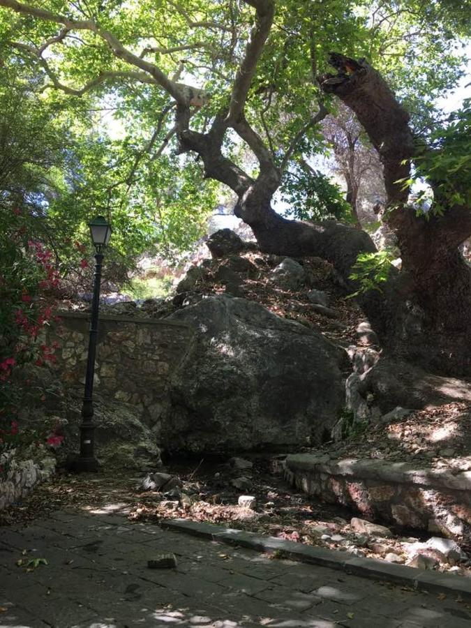 Ioli's Archangelos (Rhodes)